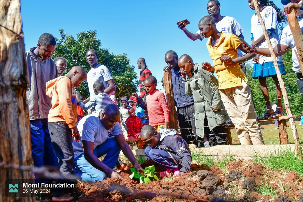 Pupils and teachers gathered around as seedlings are planted in the school compound