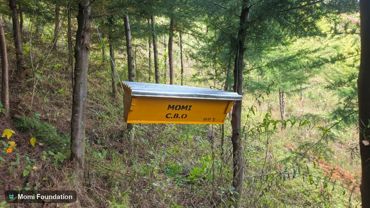A branded MOMI C.B.O beehive hanging between trees